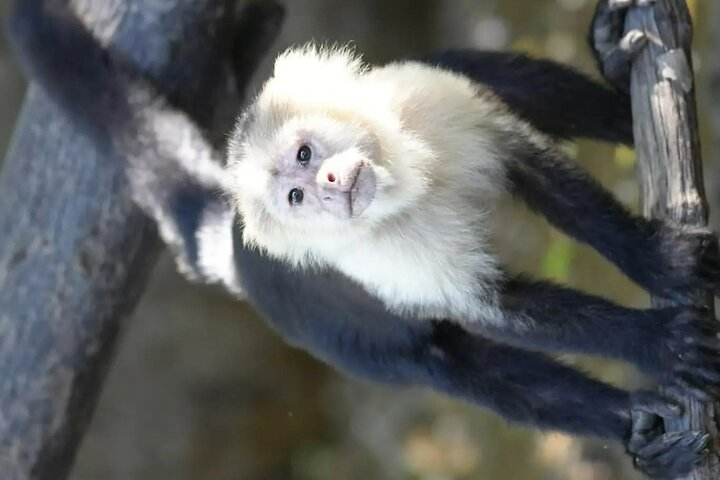 Private Safari Tour with Wild Animals by Boat - Photo 1 of 21